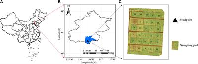 Inversion of Winter Wheat Growth Parameters and Yield Under Different Water Treatments Based on UAV Multispectral Remote Sensing